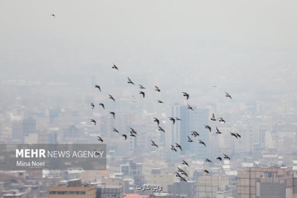 بازگشت آلودگی به کلانشهرها از روز یکشنبه بارندگی و سرما در اکثر نقاط کشور